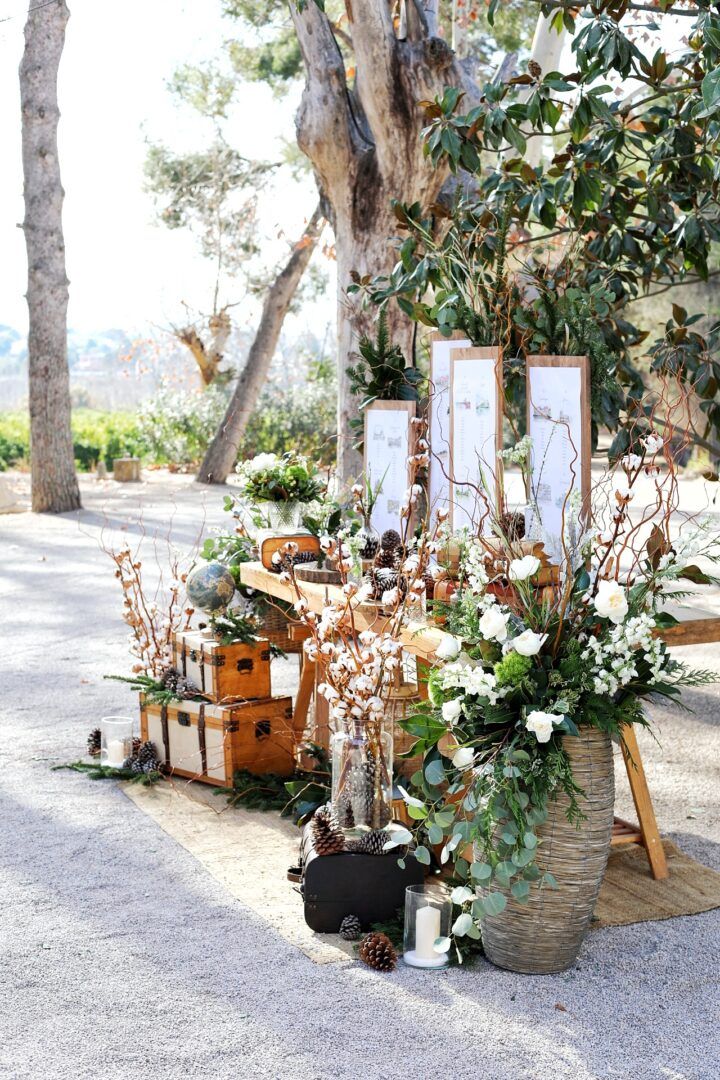 Boda de Ana y Álvaro en Vallesa de Mandor, Valencia