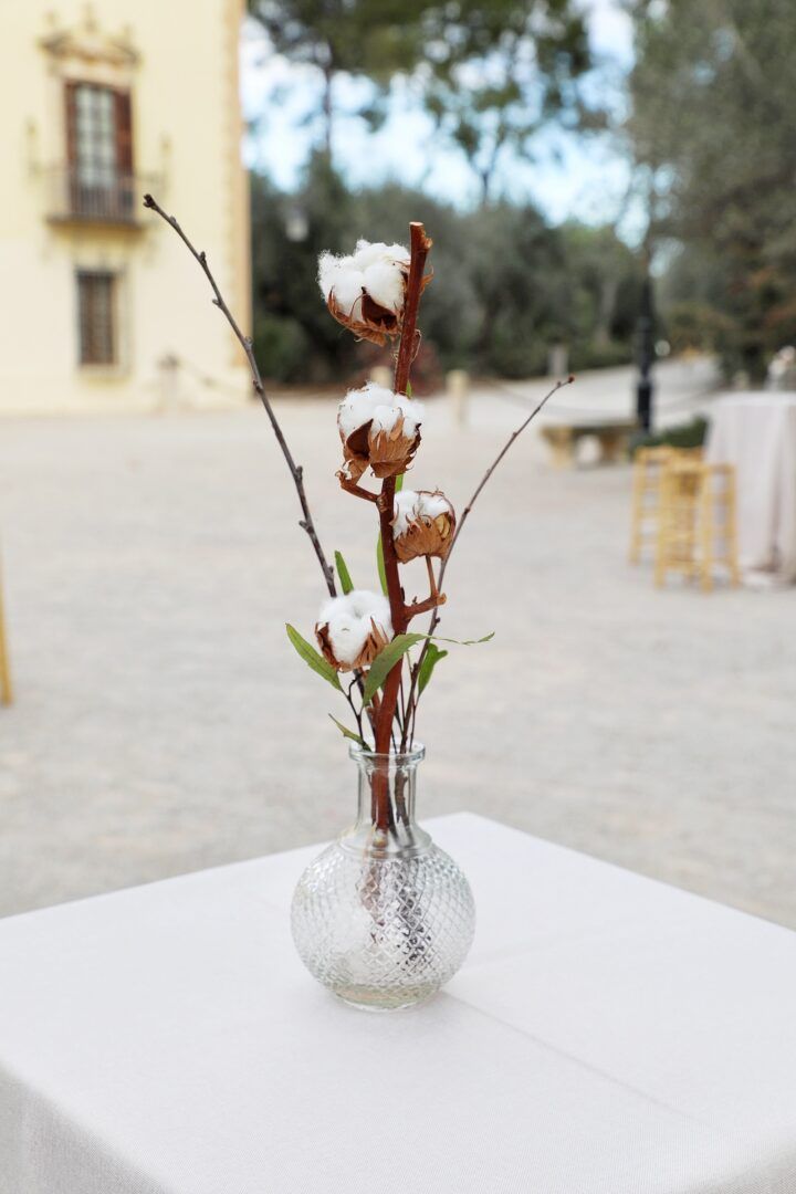 Boda de Ana y Álvaro en Vallesa de Mandor, Valencia