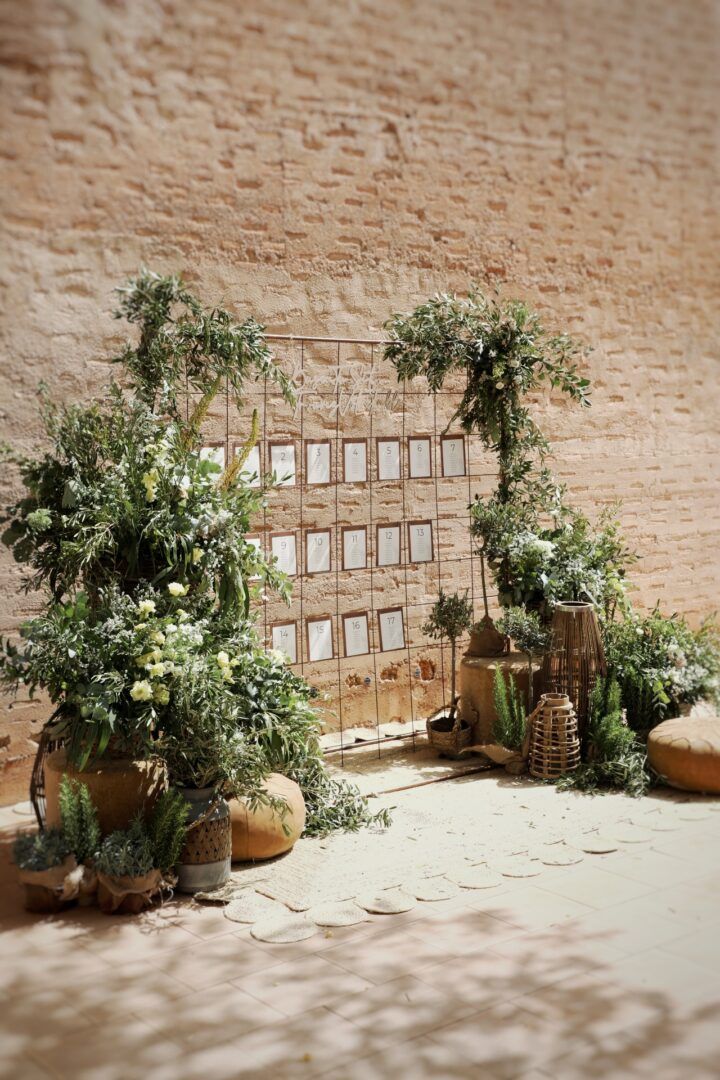 Boda de Patricia y David en Cartuja de Ara Christi, Valencia