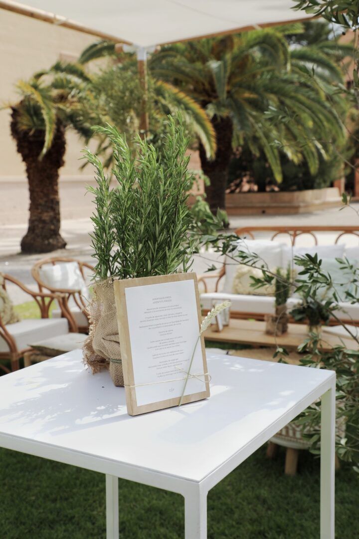 Boda de Patricia y David en Cartuja de Ara Christi, Valencia