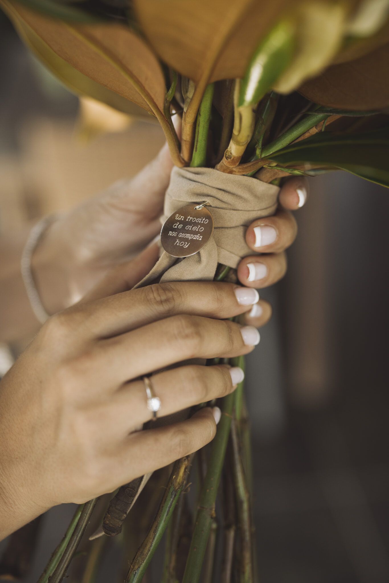 Boda de Carlos y Alexandra en Campo Aníbal, Valencia (16)
