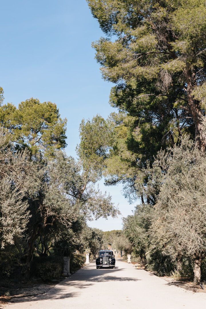 Boda de Ana y Álvaro en Vallesa de Mandor, Valencia