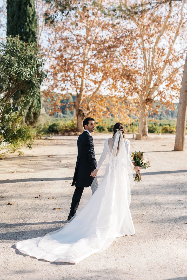 Boda de Ana y Álvaro en Vallesa de Mandor, Valencia