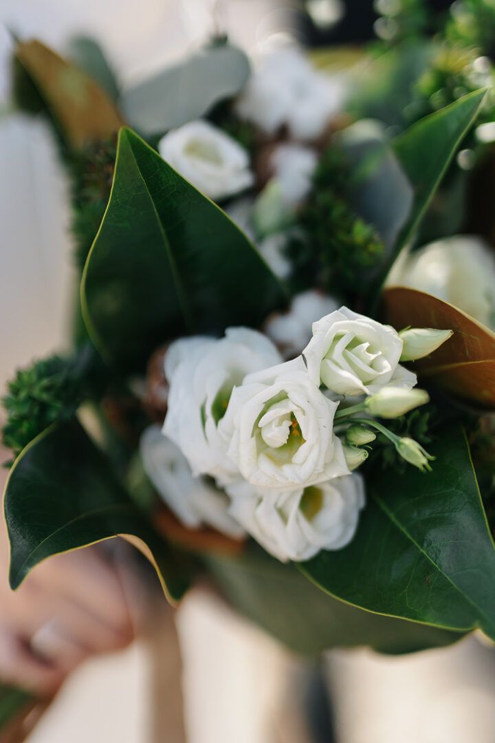 Boda de Ana y Álvaro en Vallesa de Mandor, Valencia